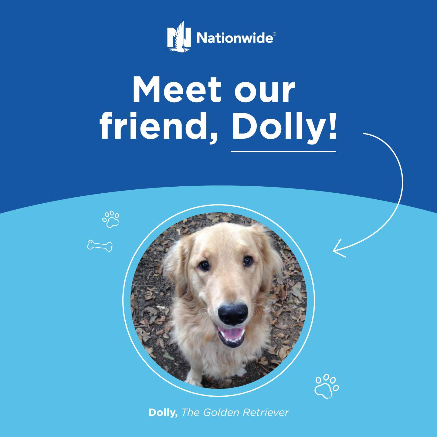Lovable Dolly Lives a Comfortable Life After Diagnosis - My Pet Insider